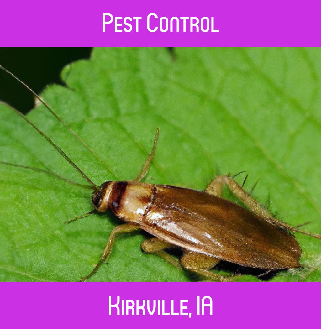 pest control in Kirkville Iowa