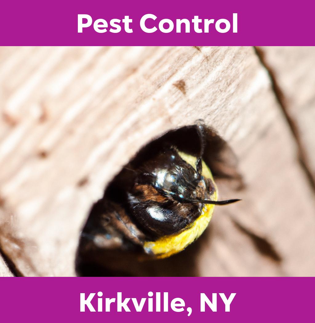 pest control in Kirkville New York