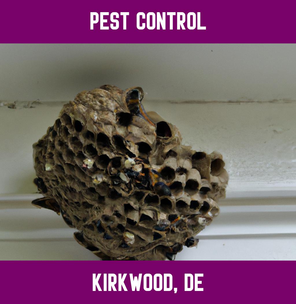 pest control in Kirkwood Delaware