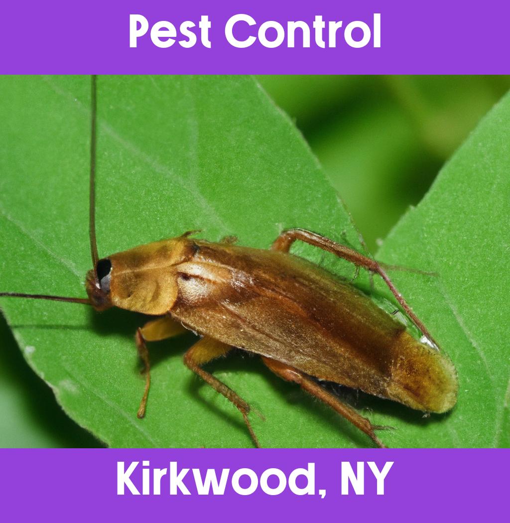 pest control in Kirkwood New York