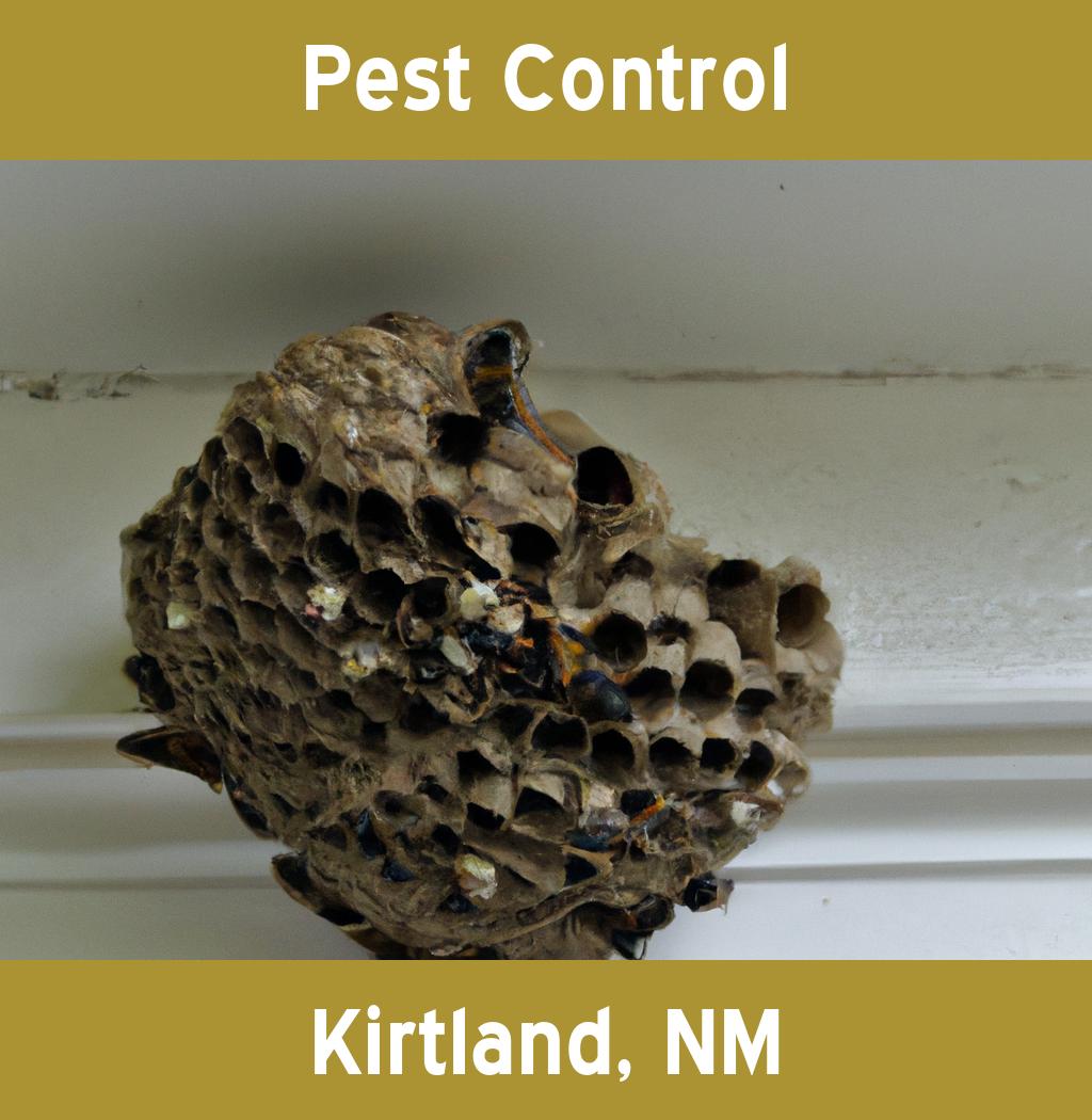 pest control in Kirtland New Mexico