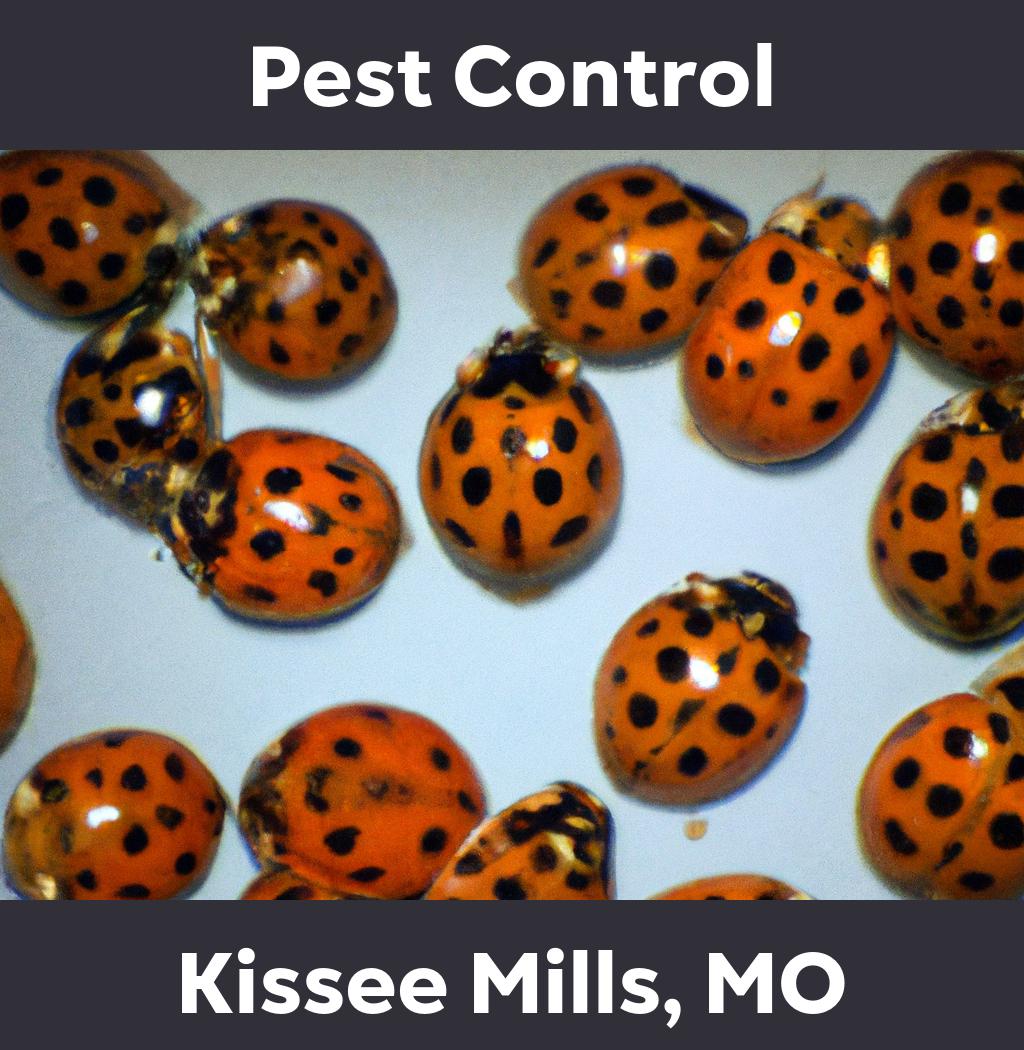 pest control in Kissee Mills Missouri