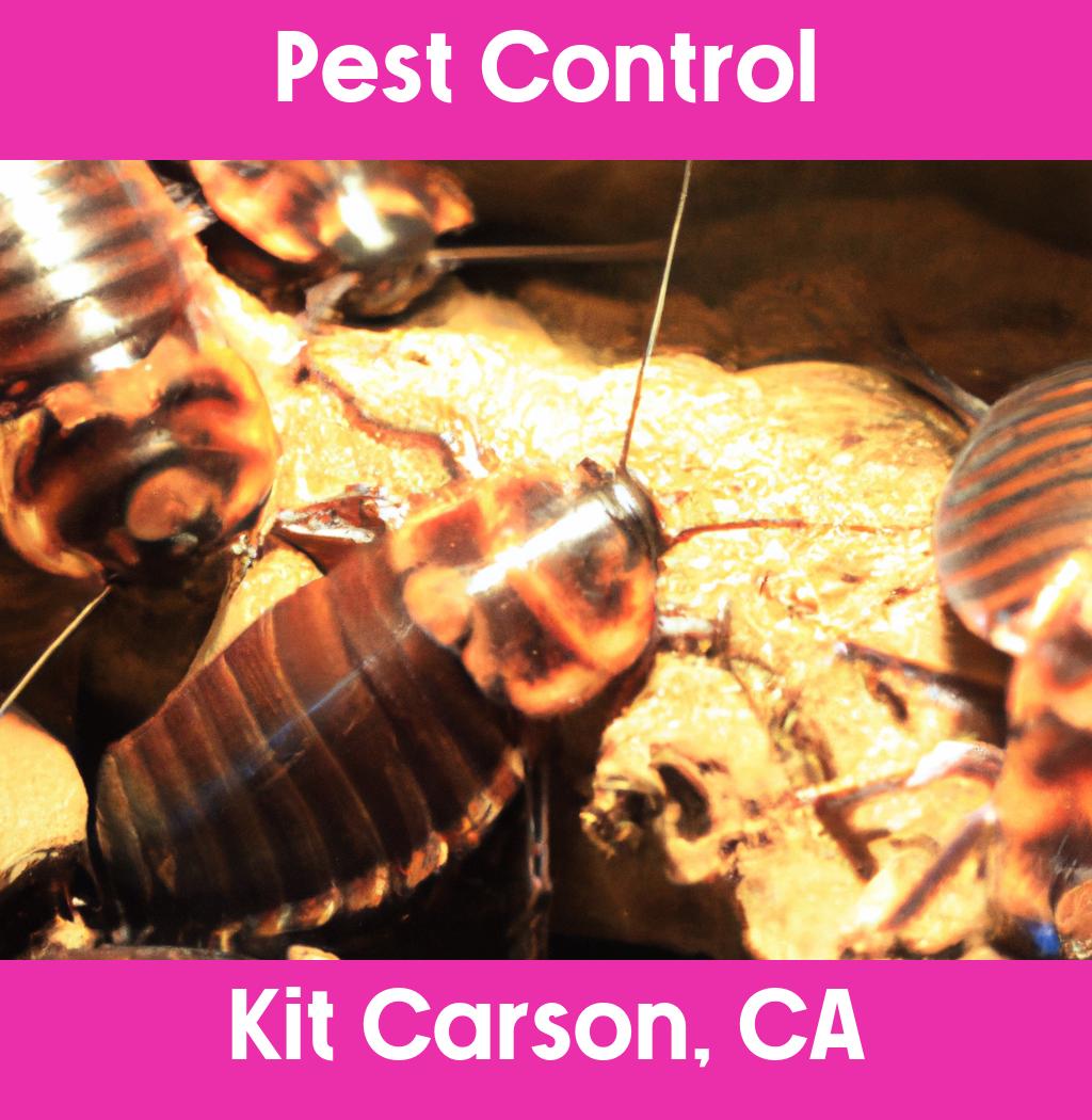 pest control in Kit Carson California