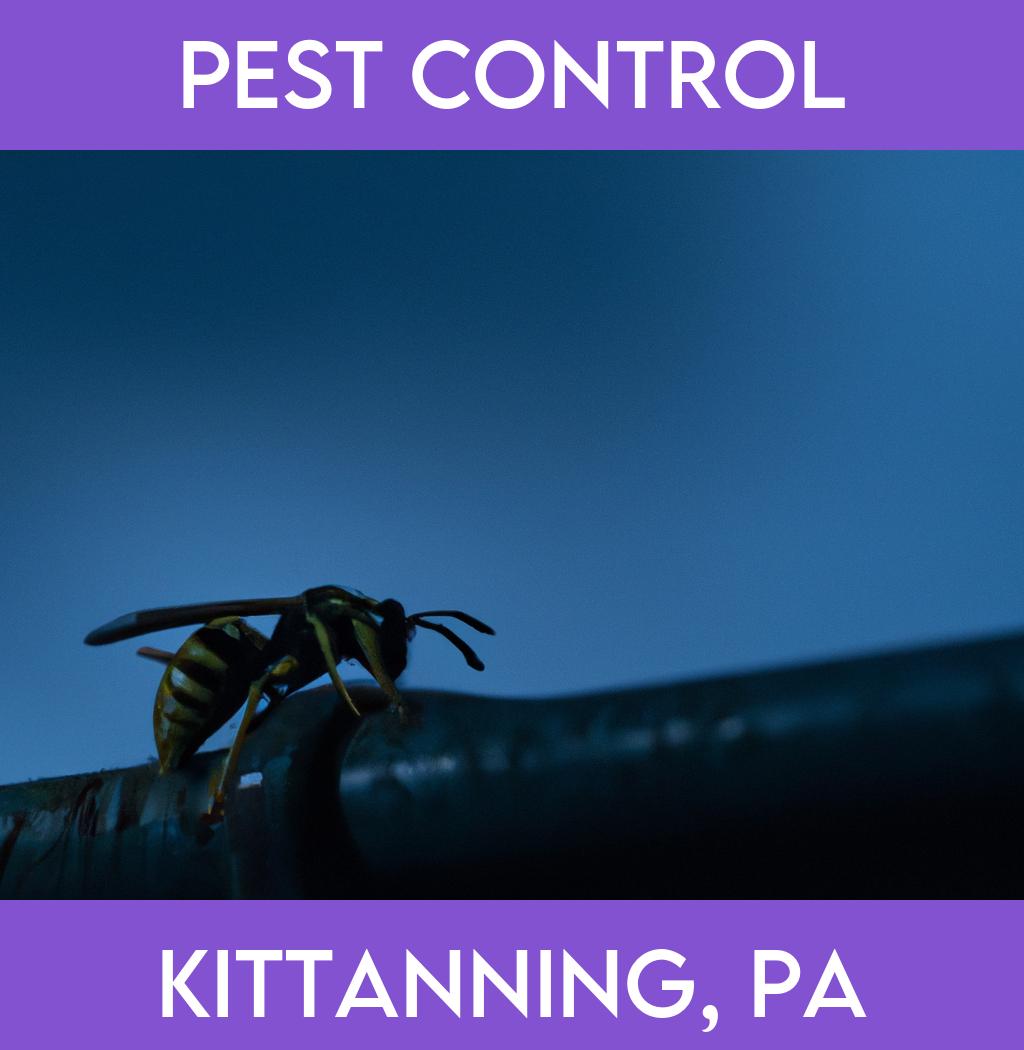 pest control in Kittanning Pennsylvania