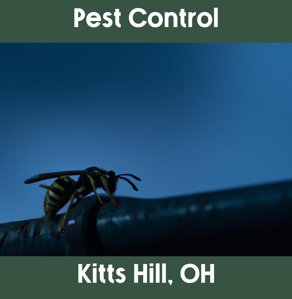 pest control in Kitts Hill Ohio