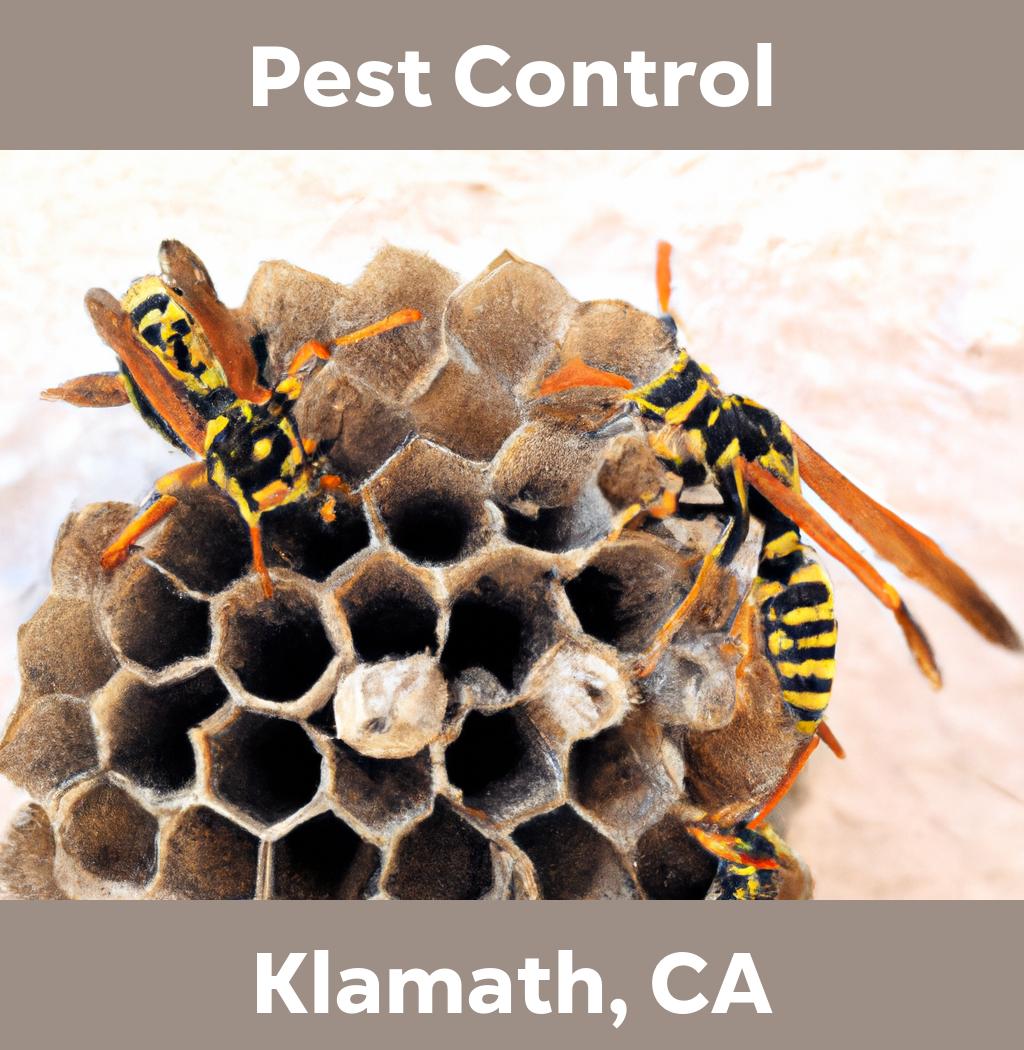 pest control in Klamath California
