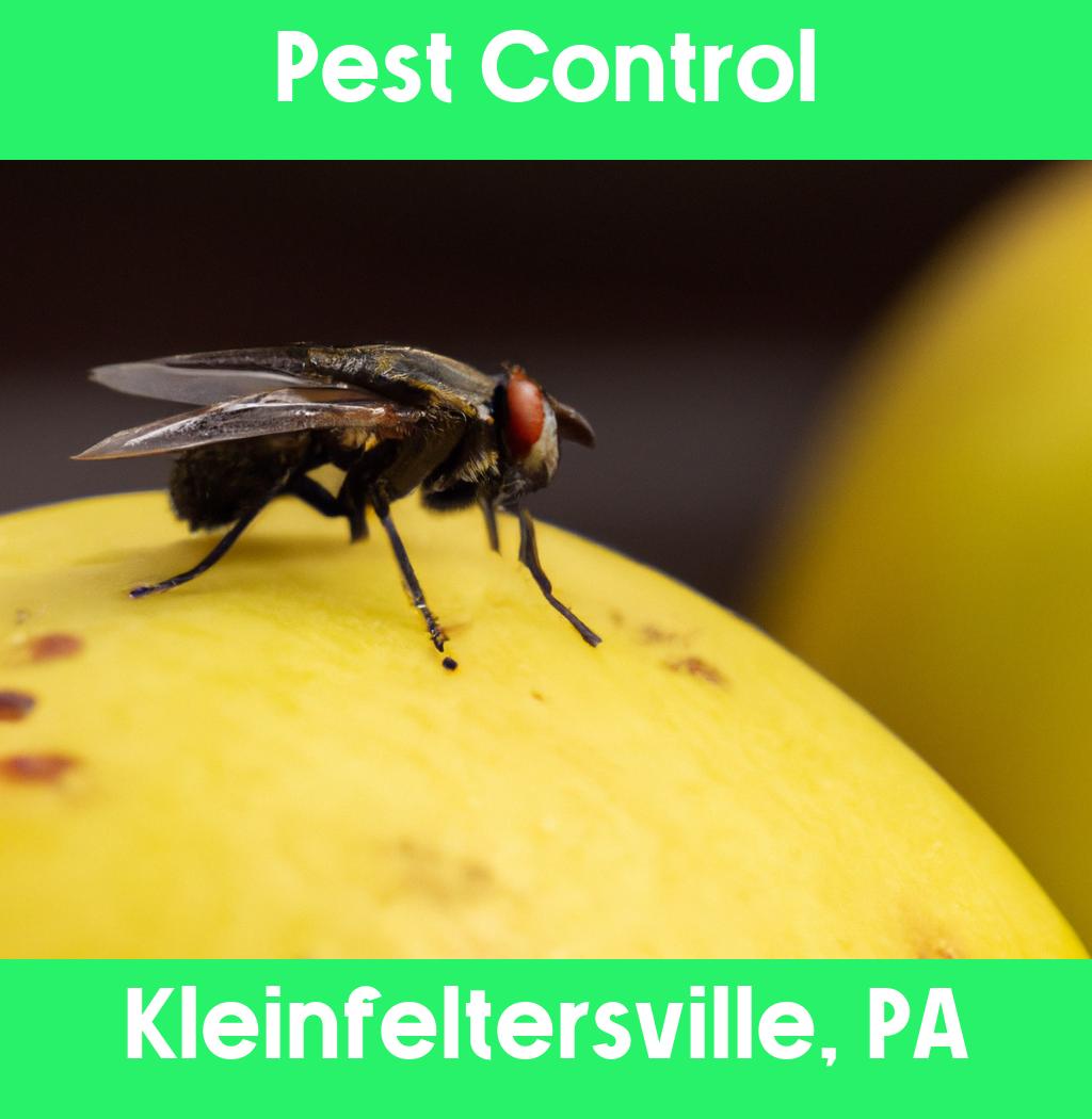 pest control in Kleinfeltersville Pennsylvania