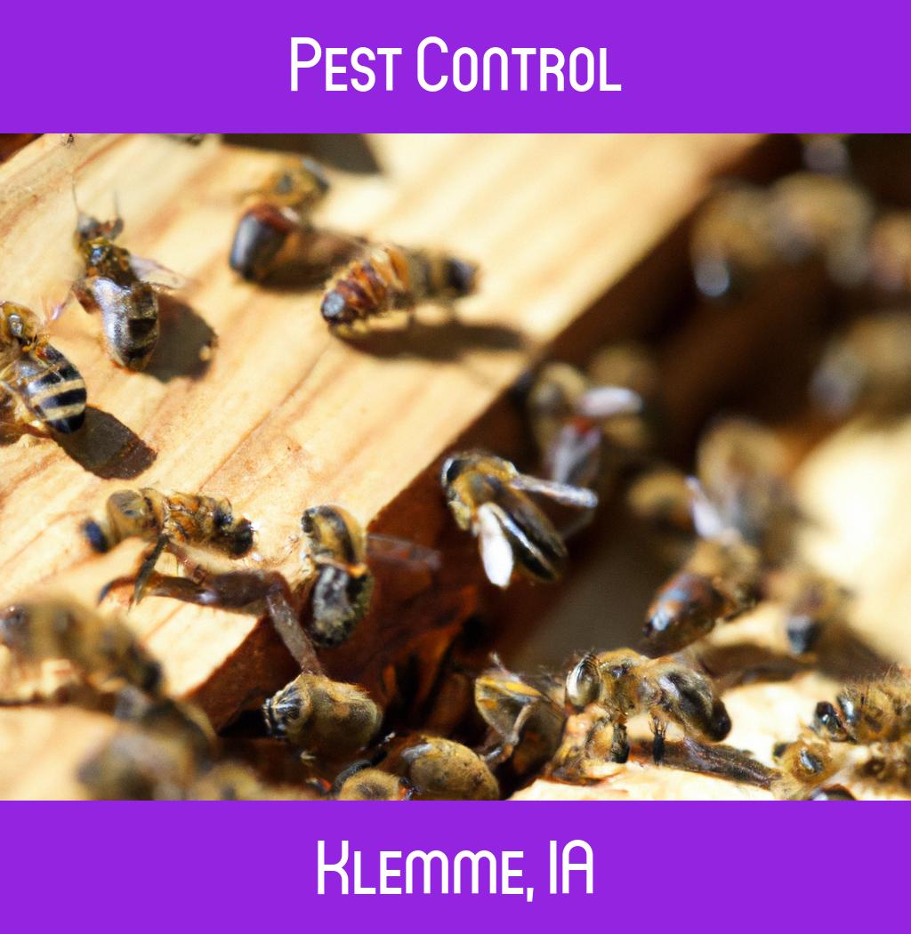 pest control in Klemme Iowa