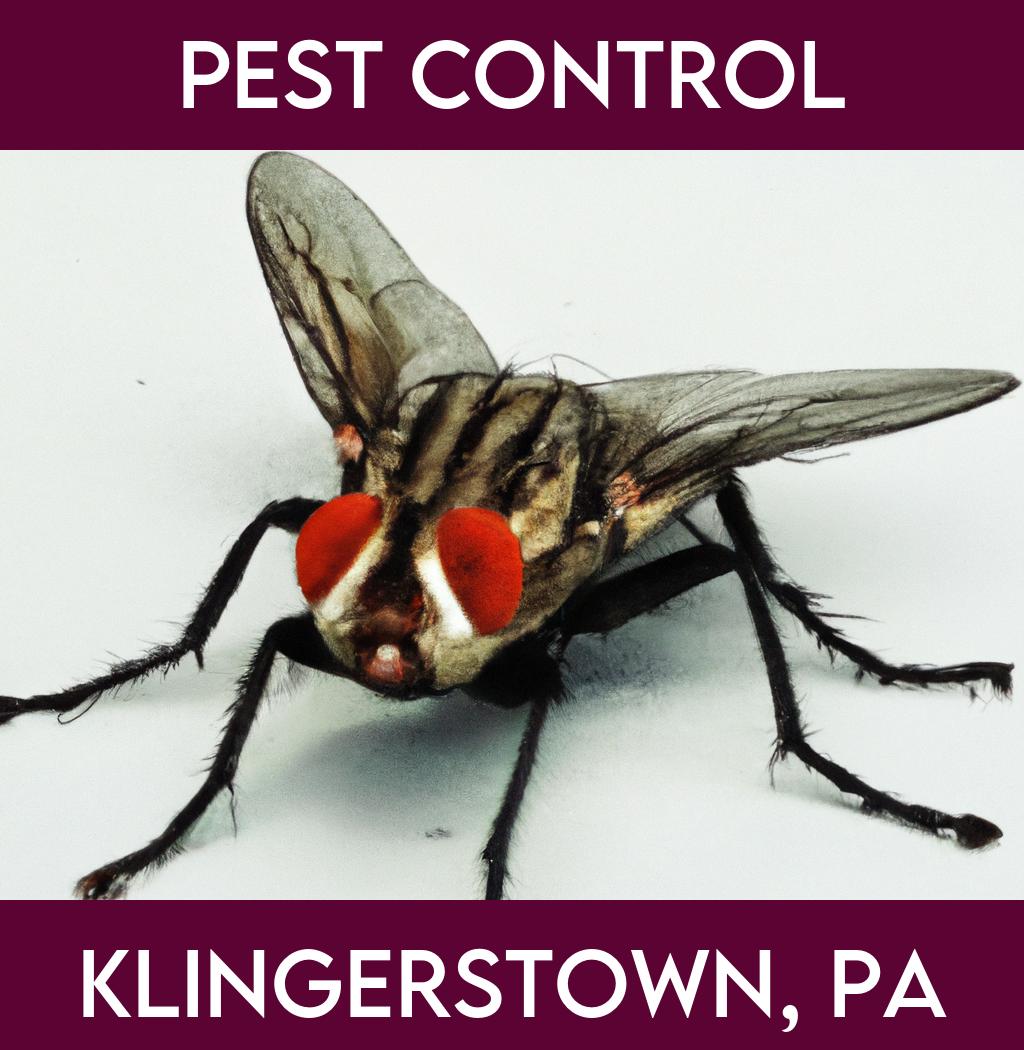 pest control in Klingerstown Pennsylvania