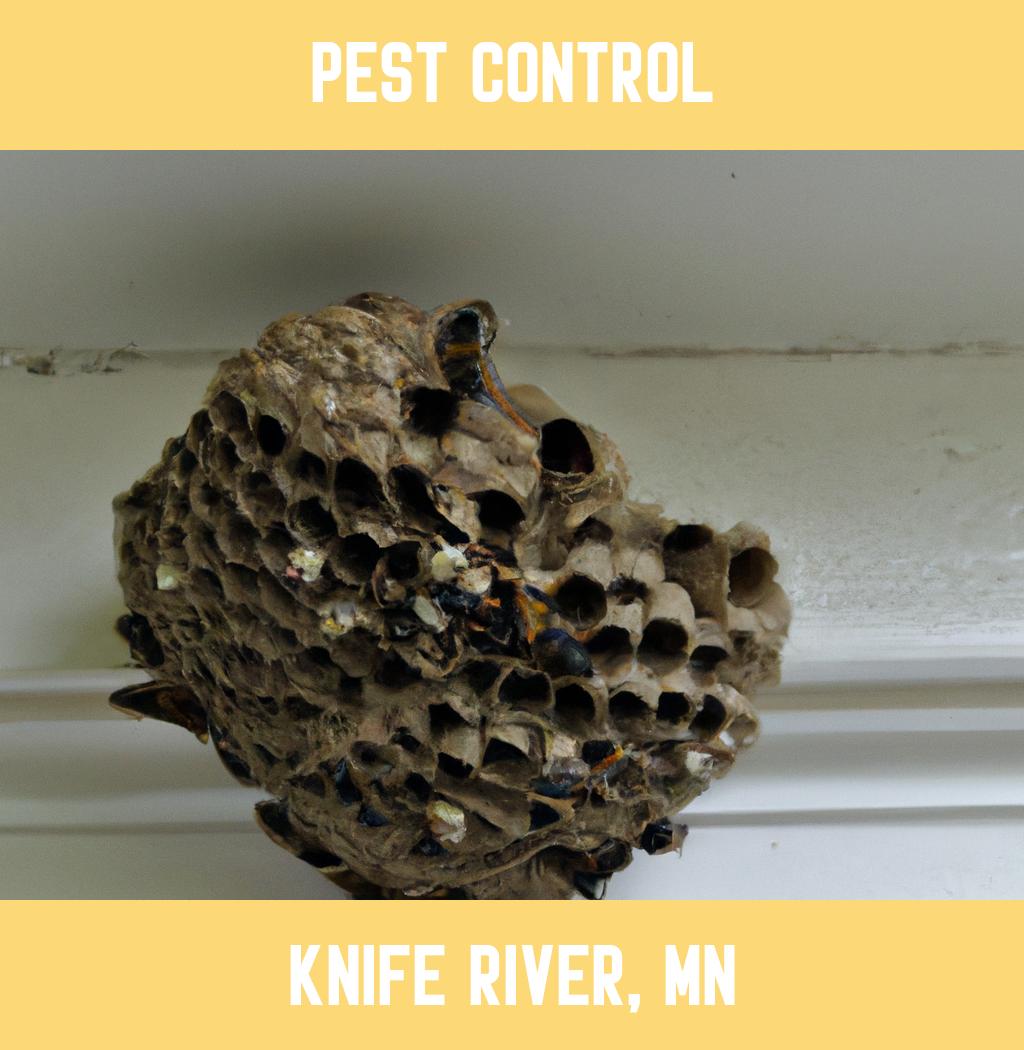 pest control in Knife River Minnesota