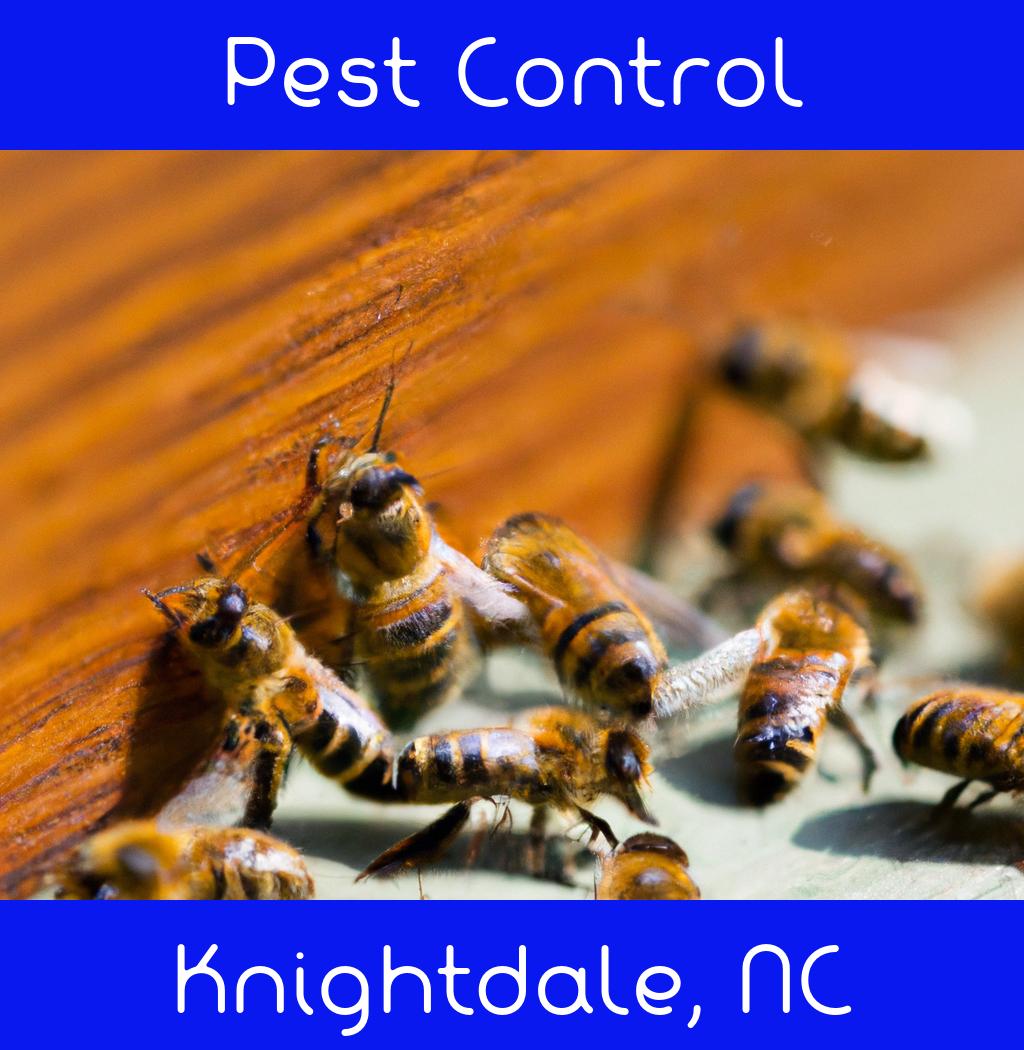 pest control in Knightdale North Carolina