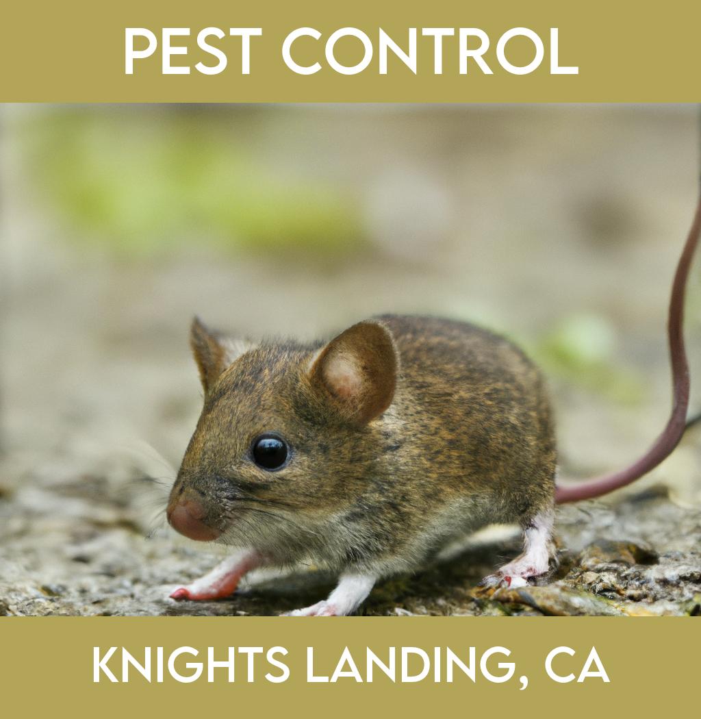 pest control in Knights Landing California