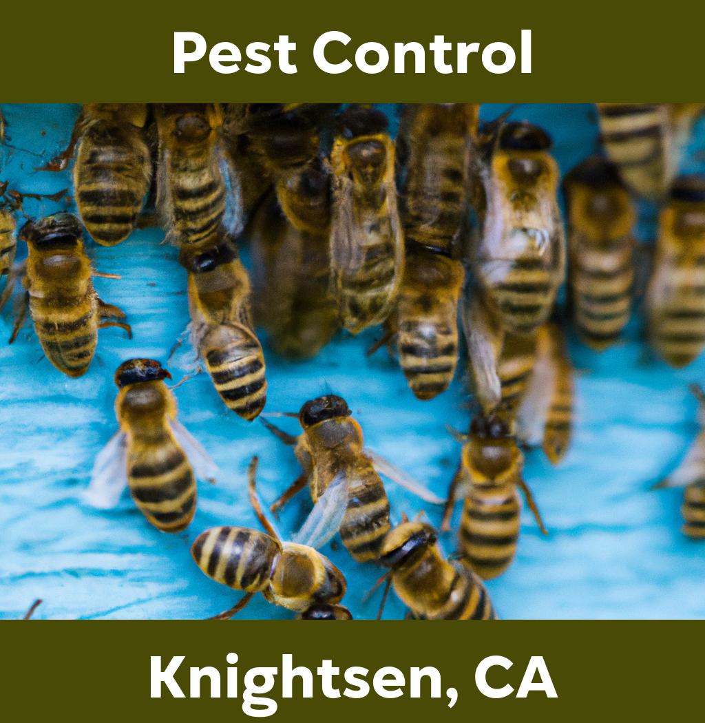 pest control in Knightsen California