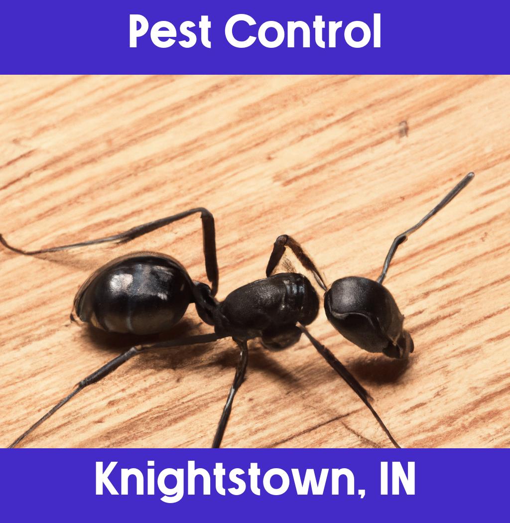 pest control in Knightstown Indiana