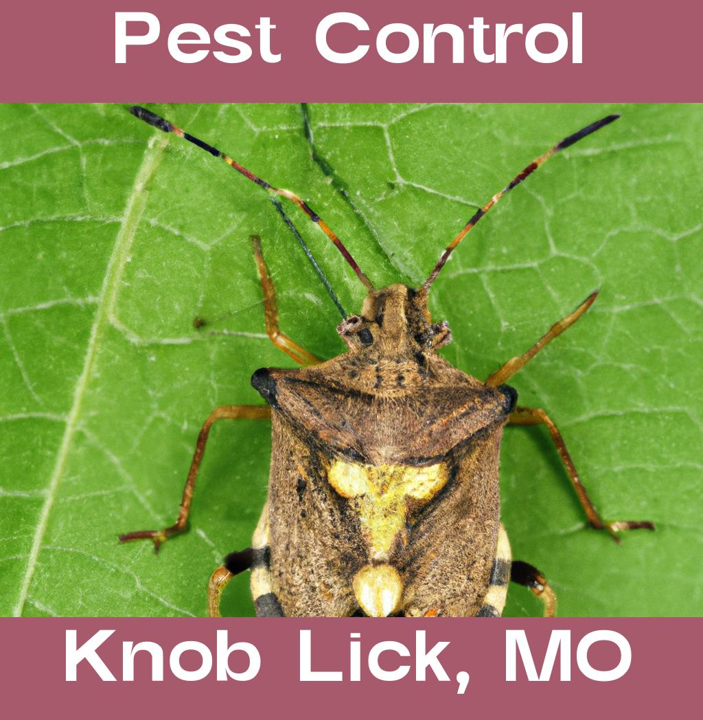 pest control in Knob Lick Missouri