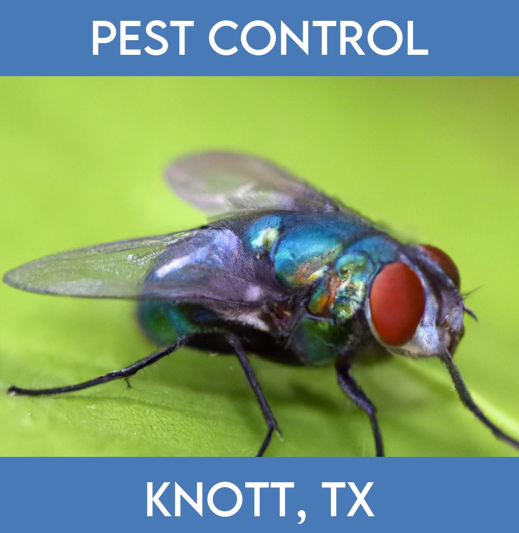 pest control in Knott Texas