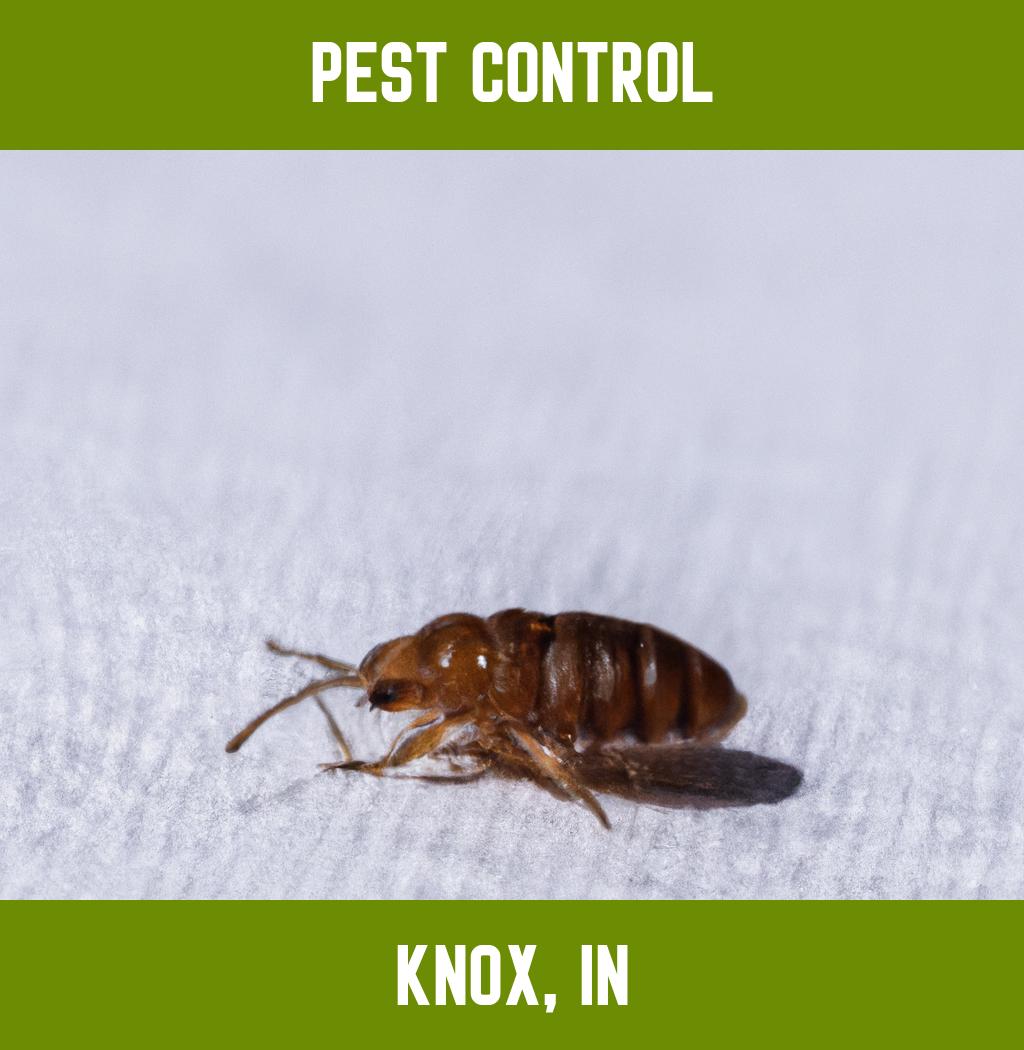 pest control in Knox Indiana
