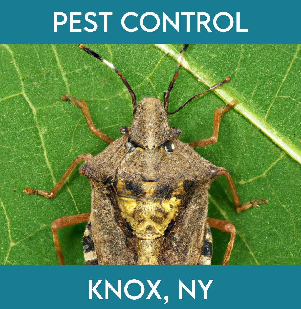 pest control in Knox New York