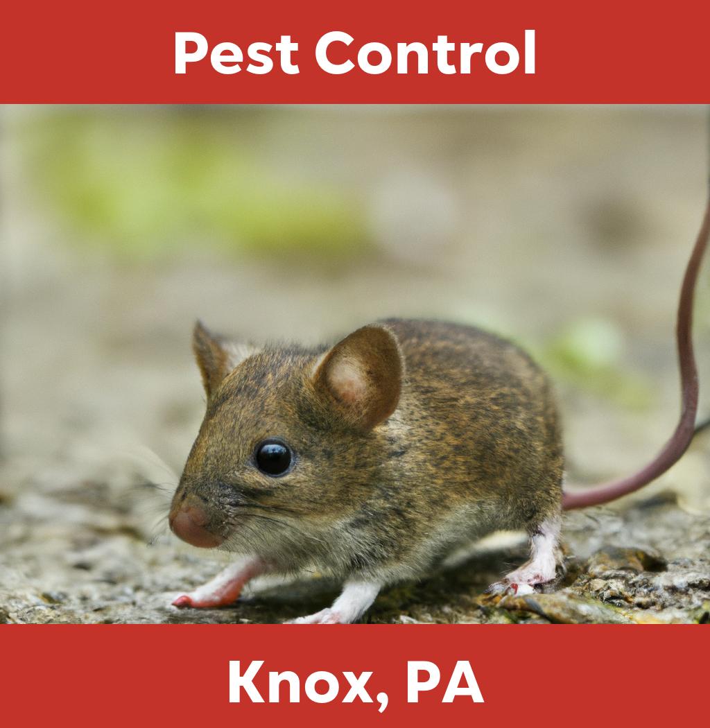 pest control in Knox Pennsylvania