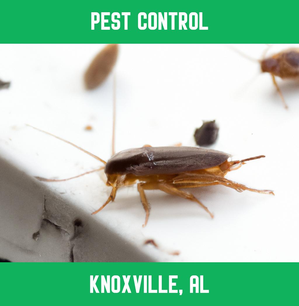 pest control in Knoxville Alabama