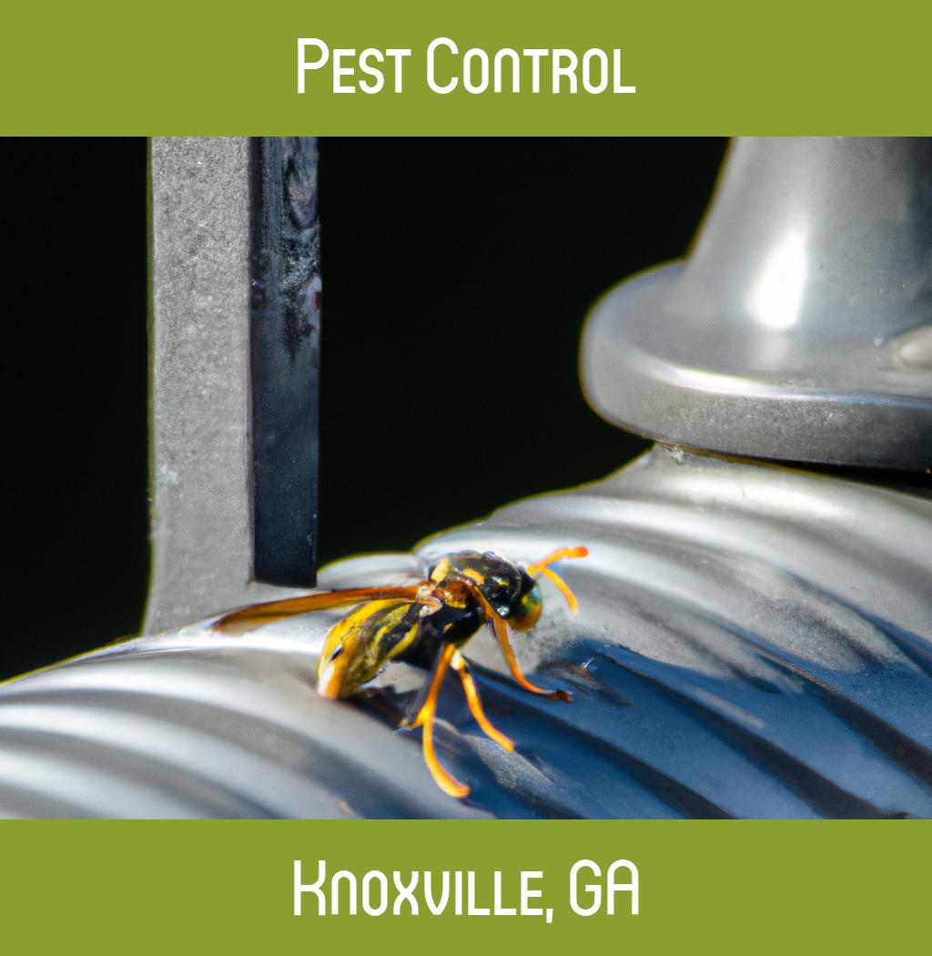 pest control in Knoxville Georgia