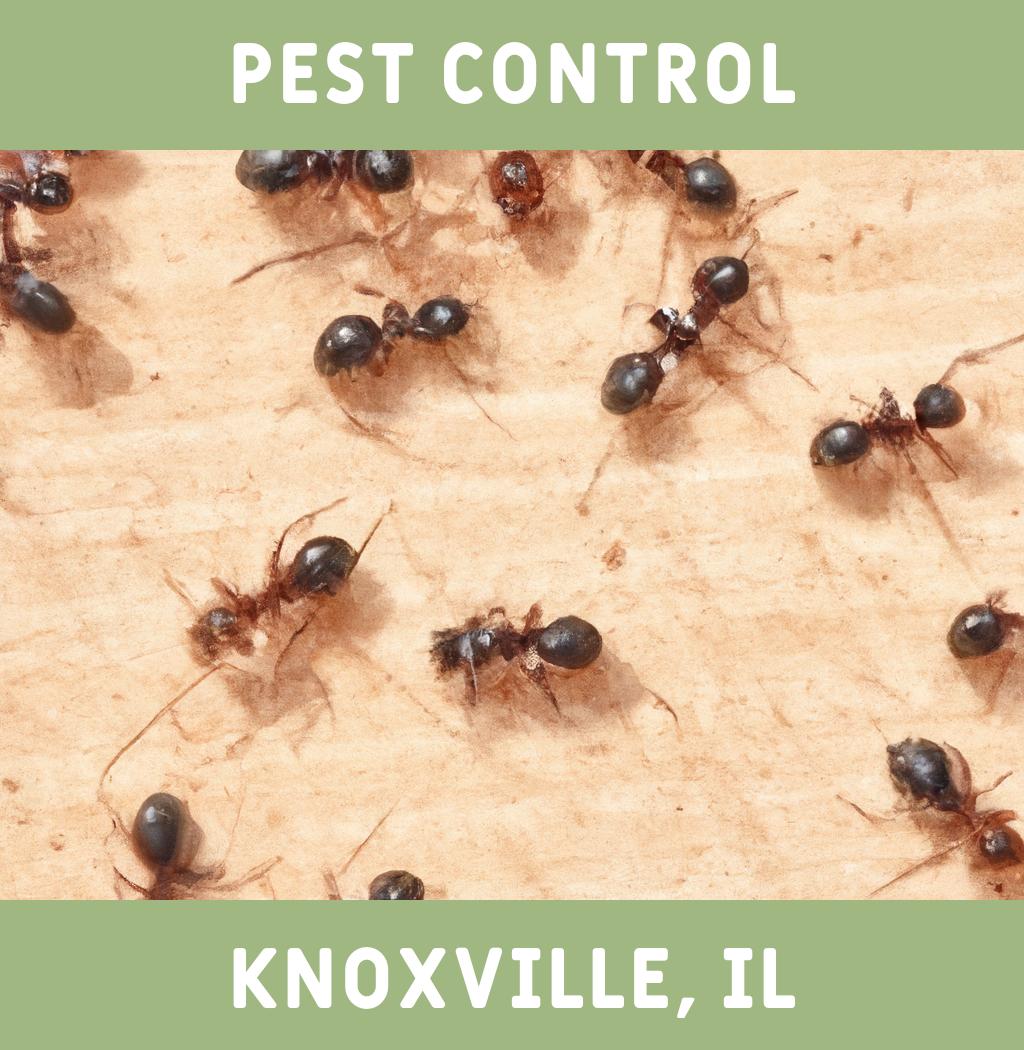 pest control in Knoxville Illinois