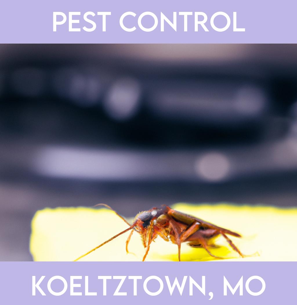 pest control in Koeltztown Missouri