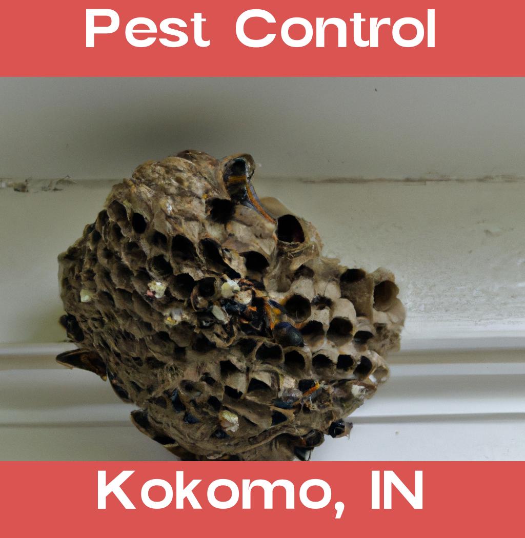 pest control in Kokomo Indiana