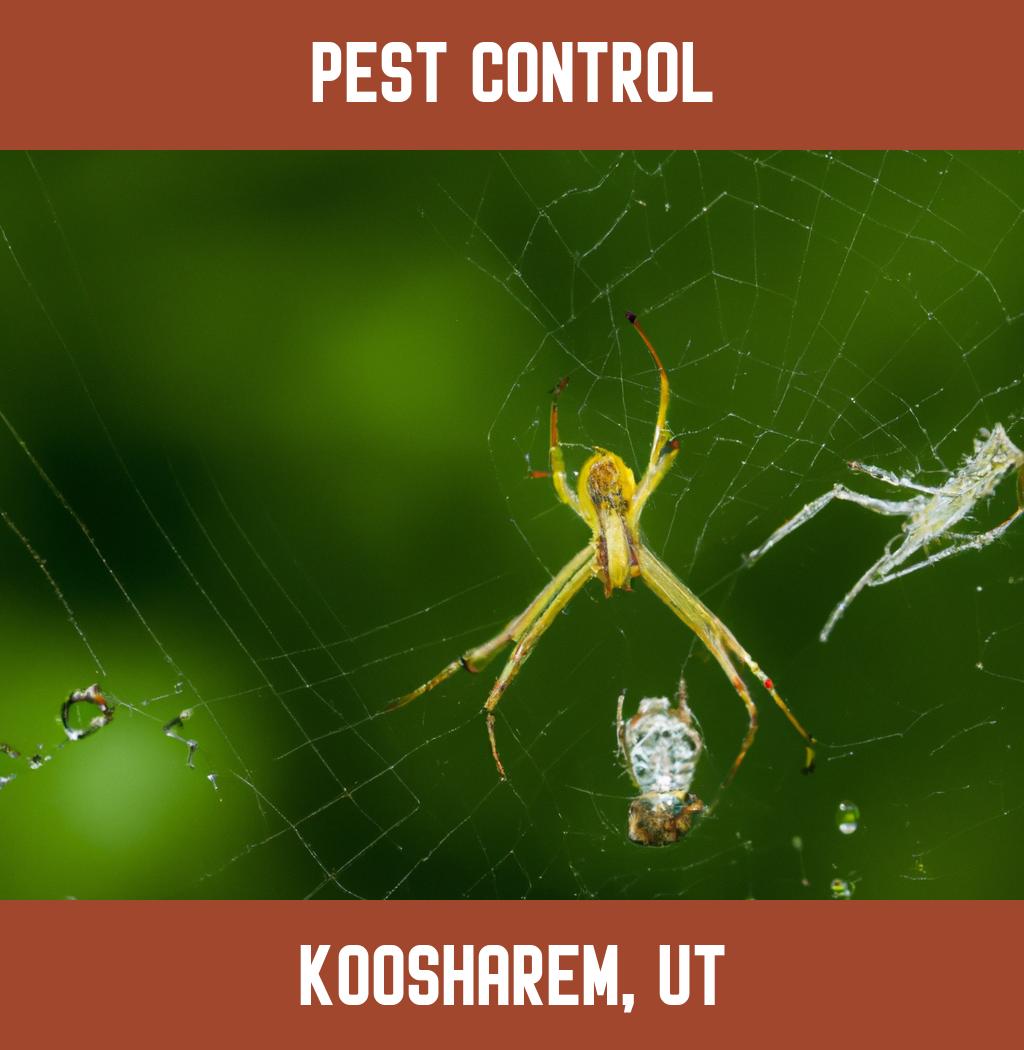 pest control in Koosharem Utah