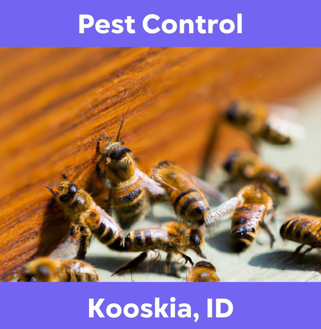pest control in Kooskia Idaho