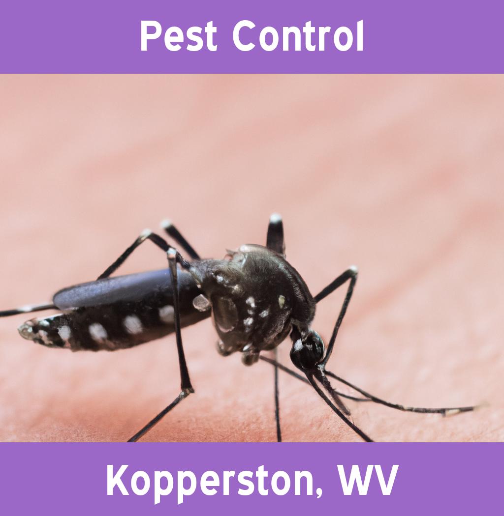 pest control in Kopperston West Virginia
