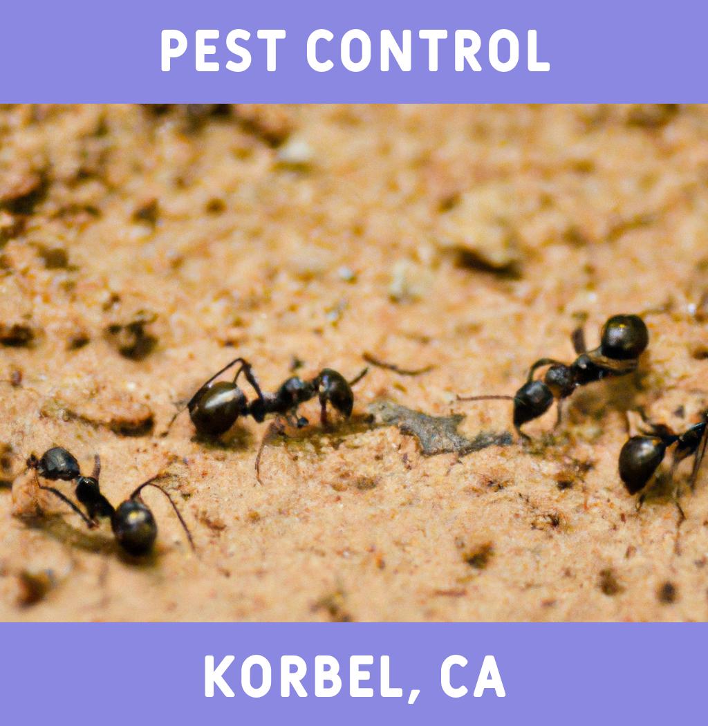 pest control in Korbel California