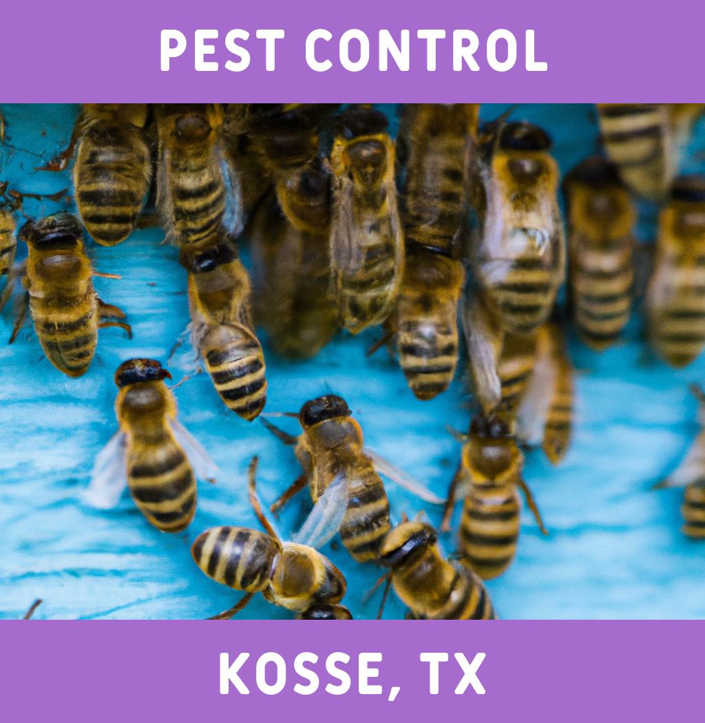 pest control in Kosse Texas