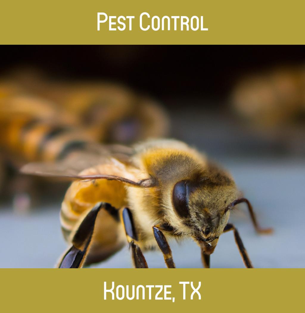 pest control in Kountze Texas