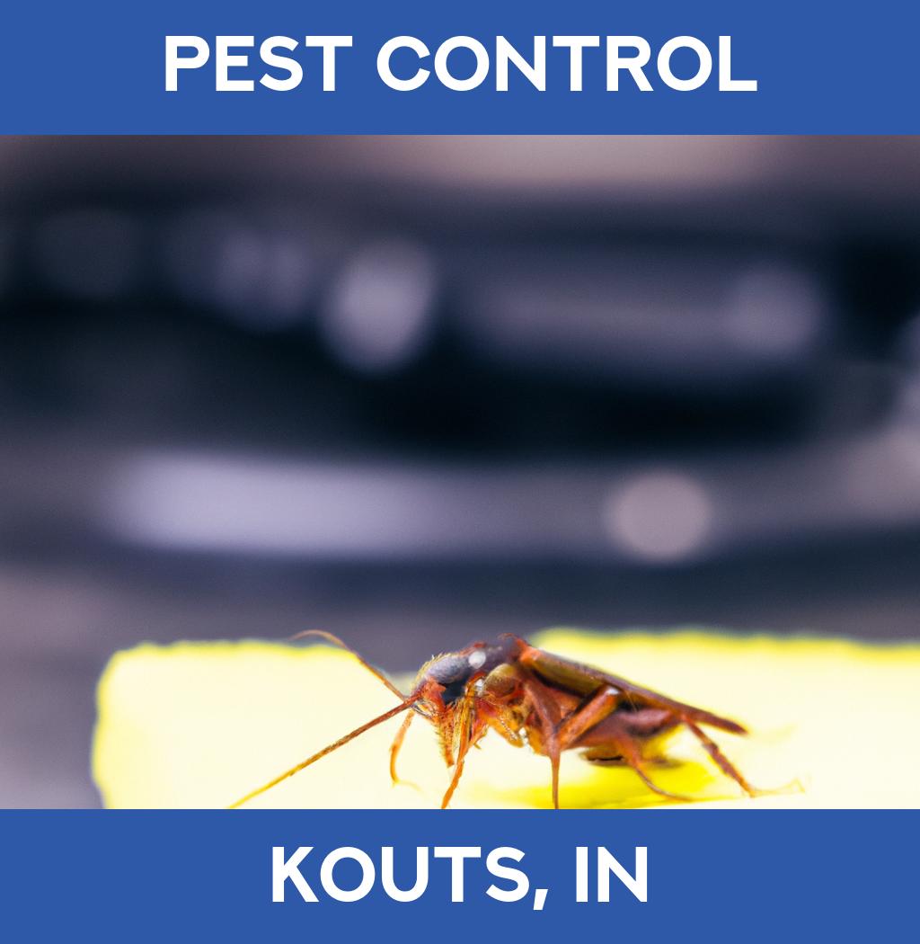 pest control in Kouts Indiana