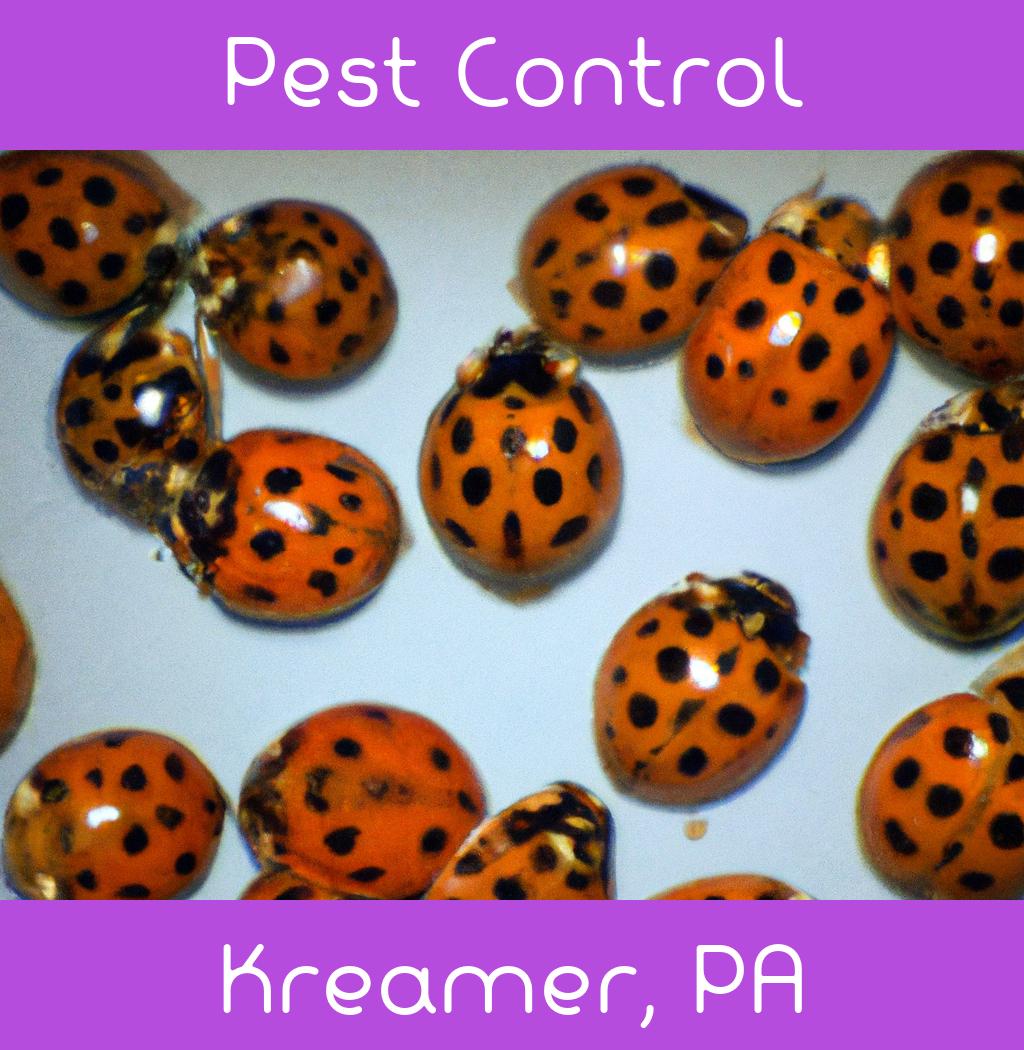 pest control in Kreamer Pennsylvania