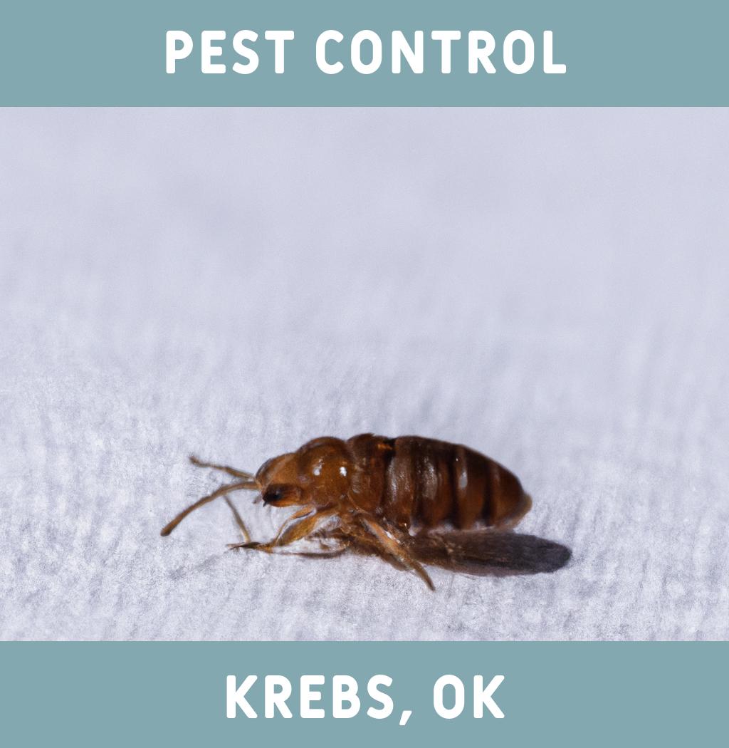 pest control in Krebs Oklahoma