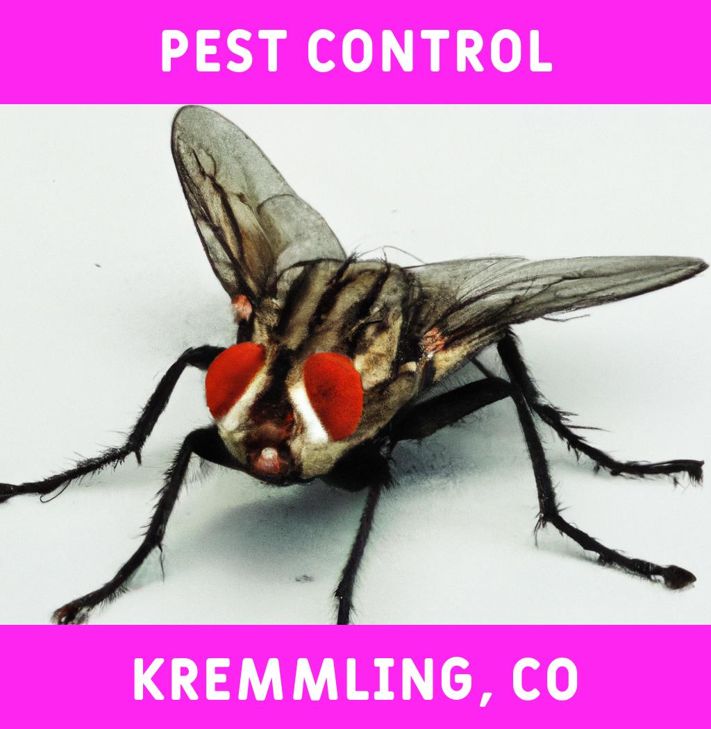 pest control in Kremmling Colorado
