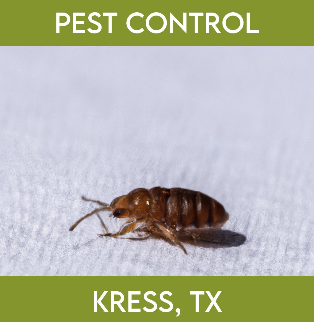 pest control in Kress Texas