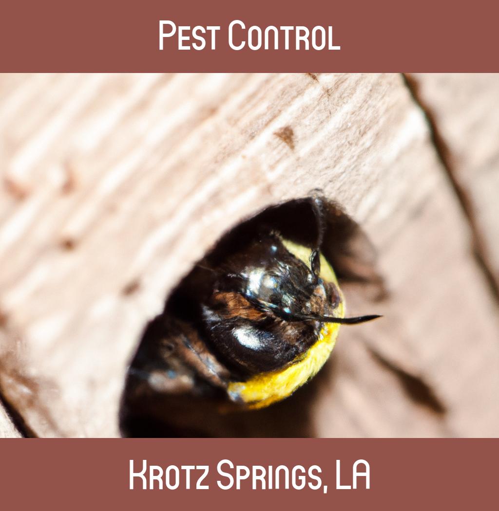 pest control in Krotz Springs Louisiana
