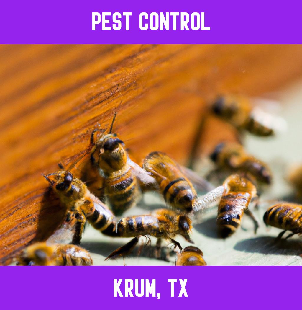 pest control in Krum Texas