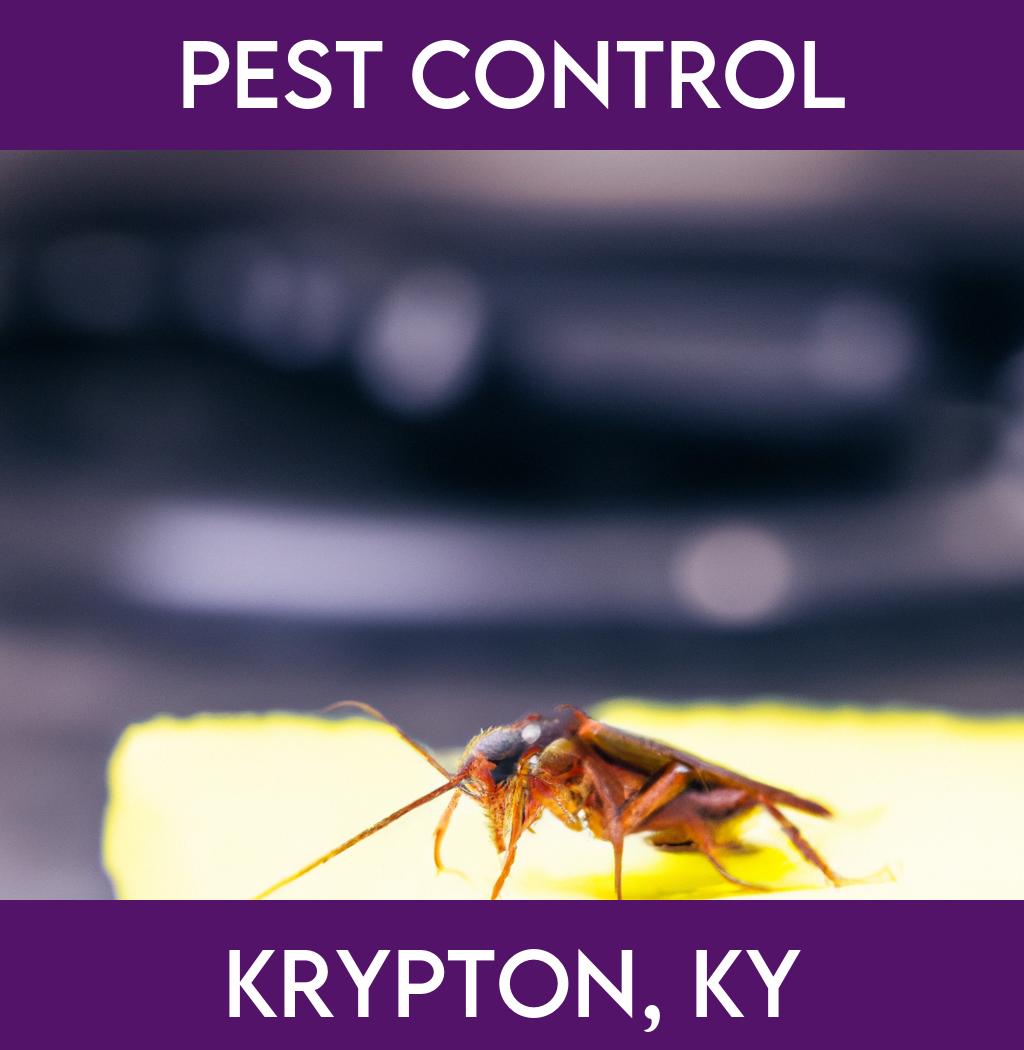pest control in Krypton Kentucky