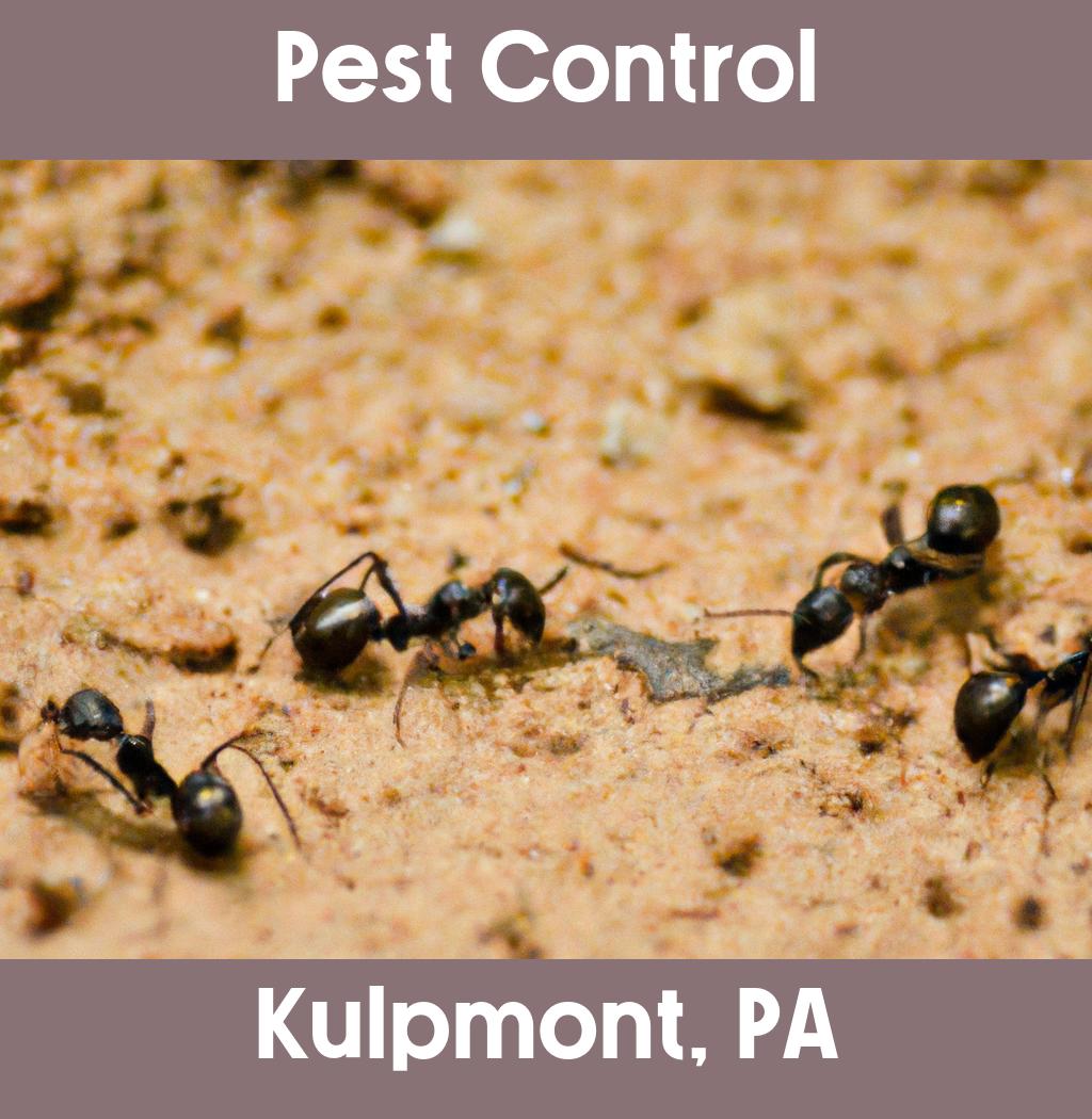 pest control in Kulpmont Pennsylvania