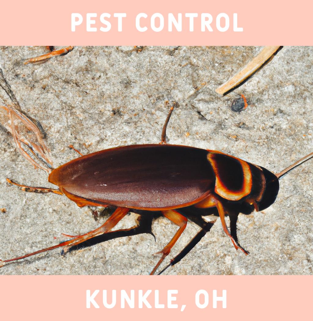 pest control in Kunkle Ohio
