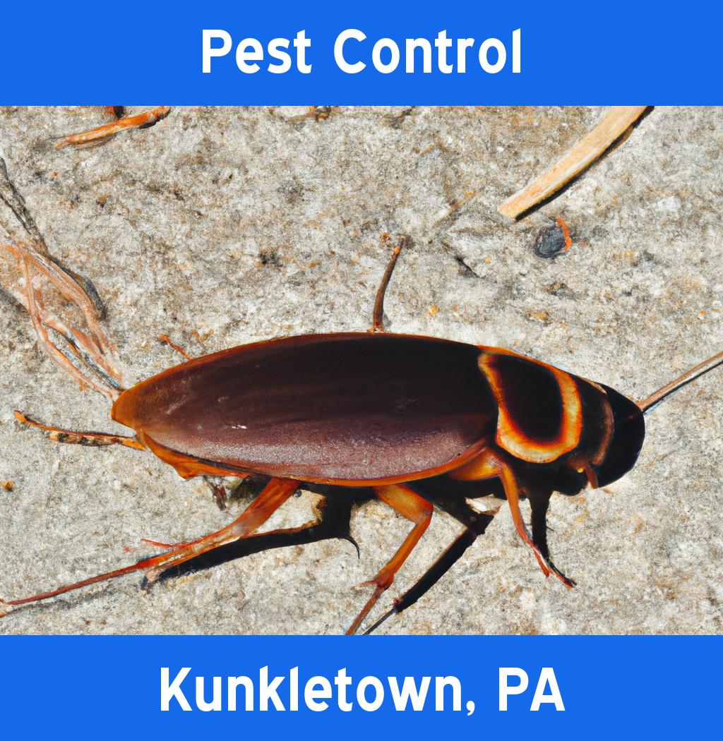 pest control in Kunkletown Pennsylvania