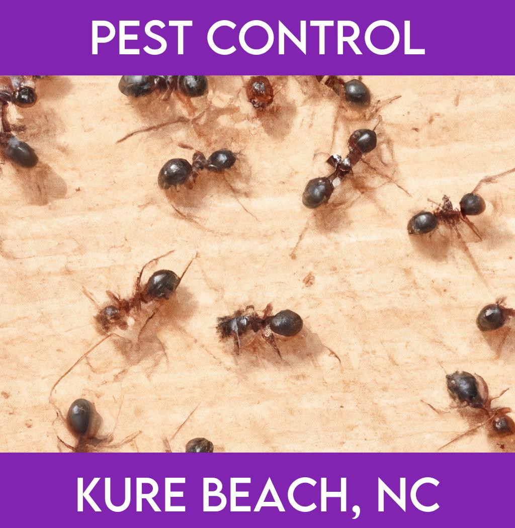 pest control in Kure Beach North Carolina