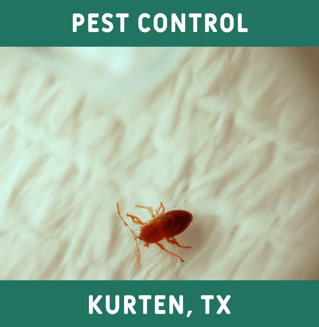 pest control in Kurten Texas