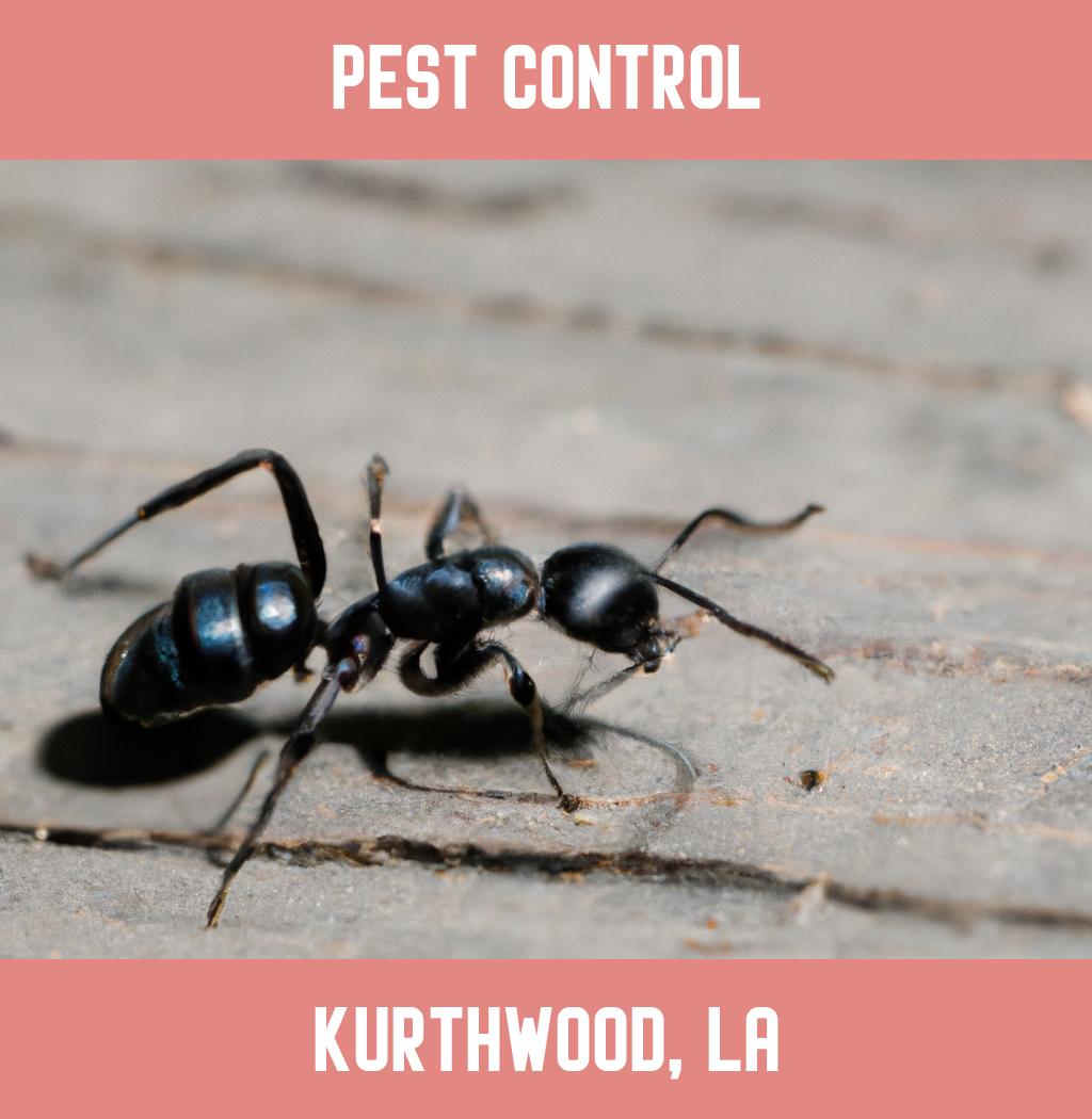 pest control in Kurthwood Louisiana