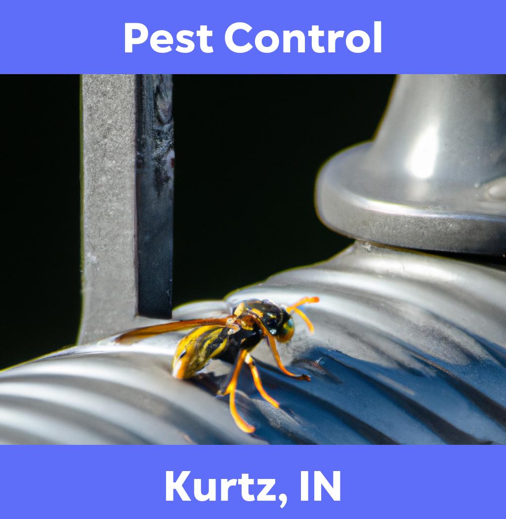 pest control in Kurtz Indiana
