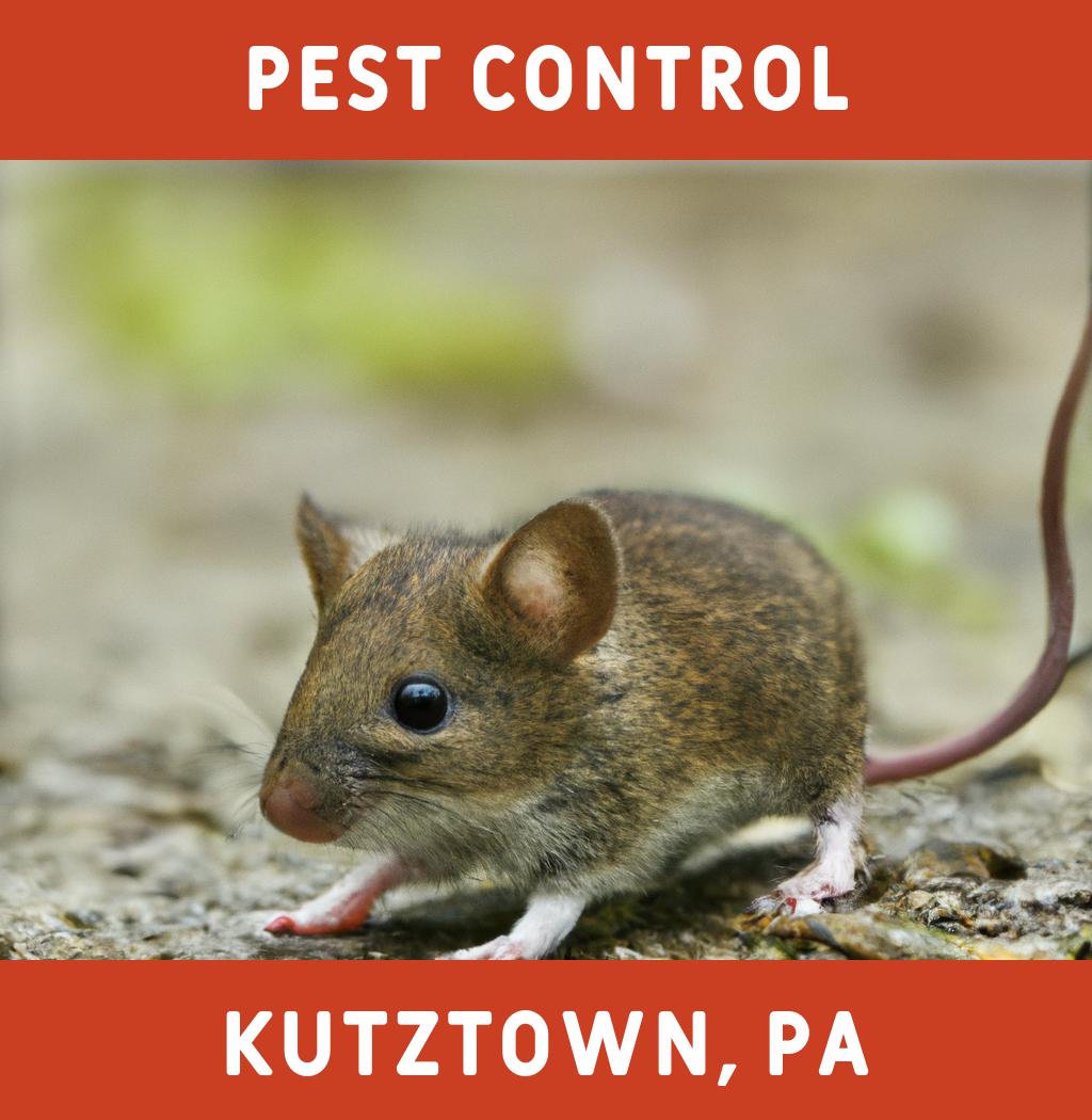 pest control in Kutztown Pennsylvania